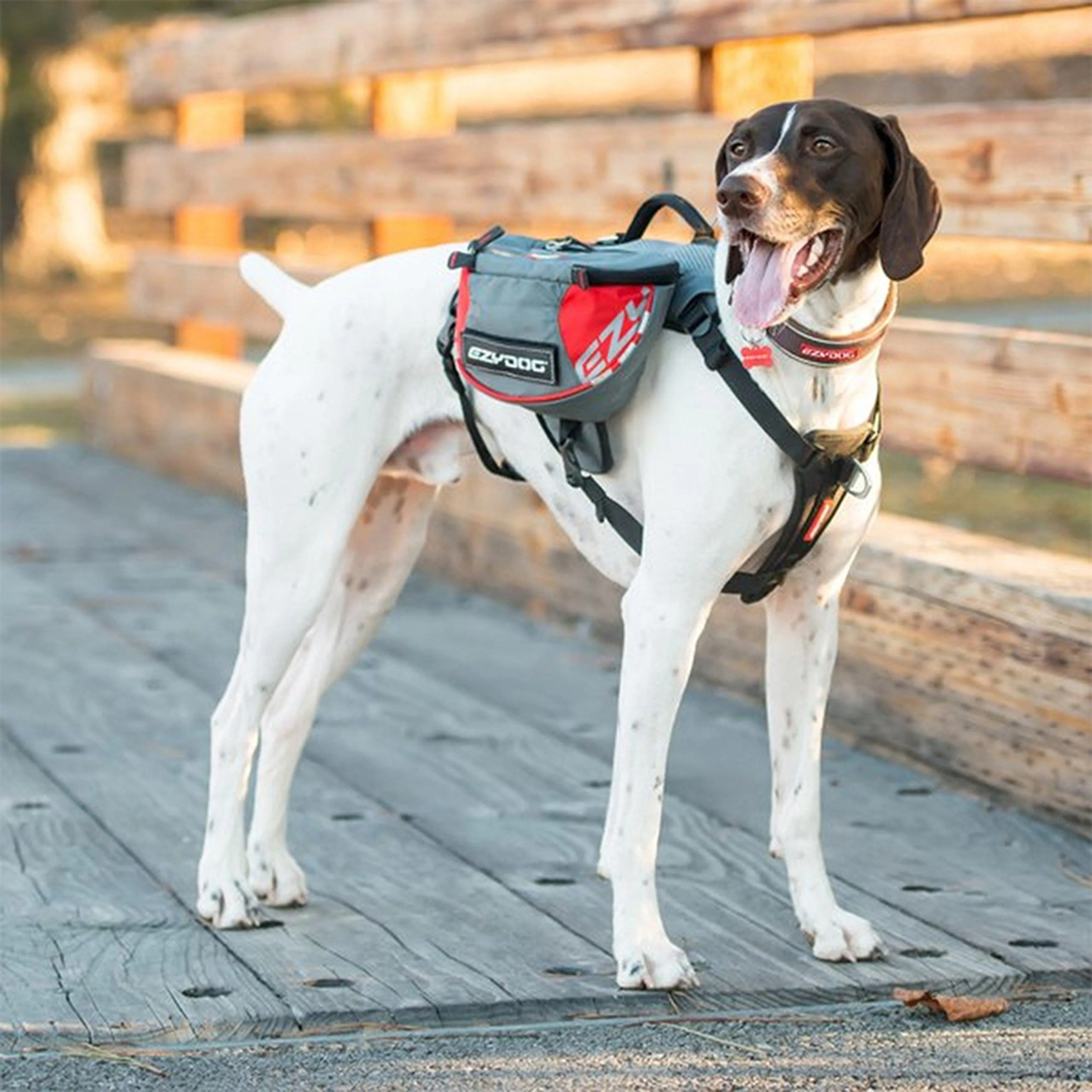 EzyDog Summit Backpack V2 | Ultimate Outdoors