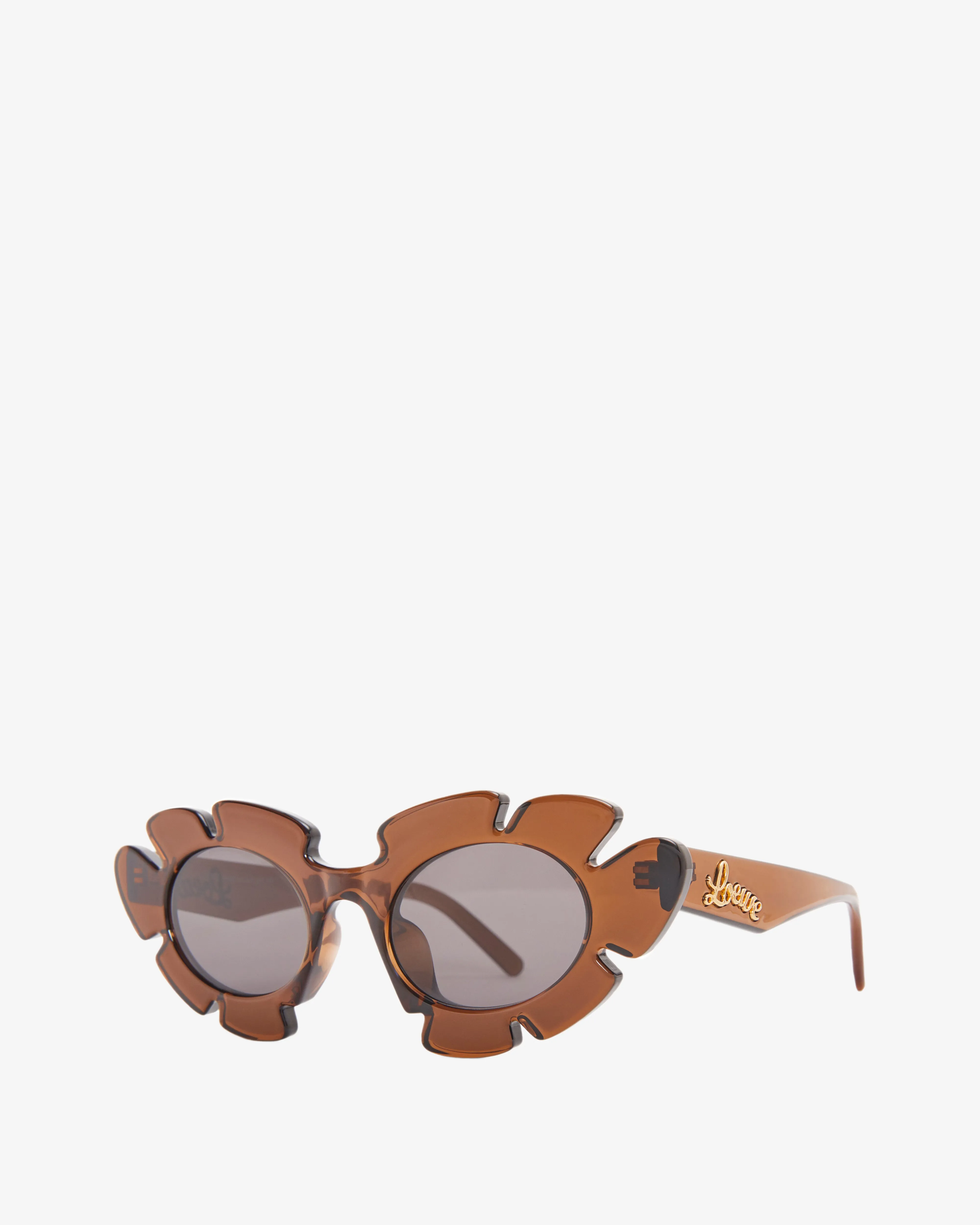 Loewe Women's Flower Sunglasses  Brown