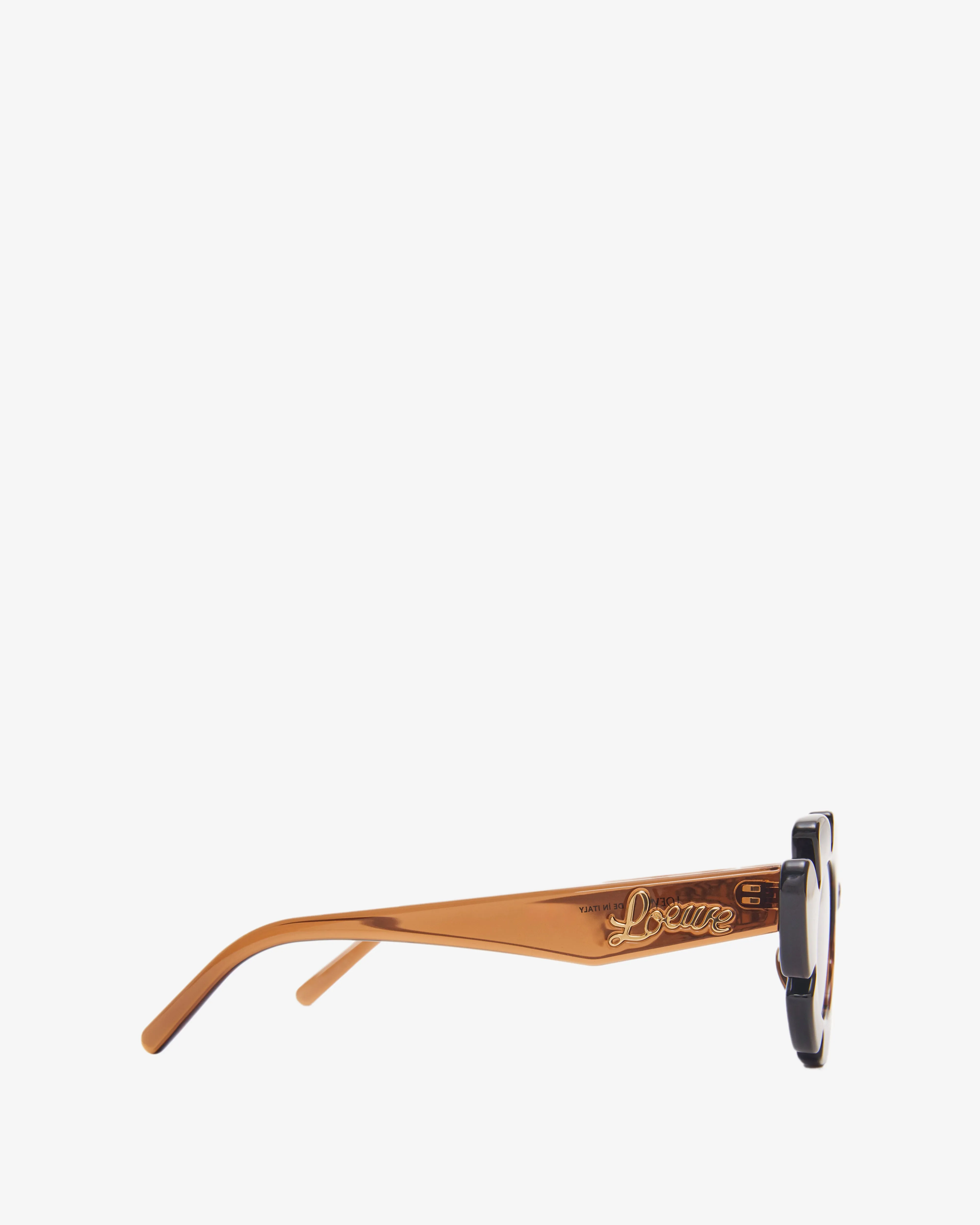 Loewe Women's Flower Sunglasses  Brown