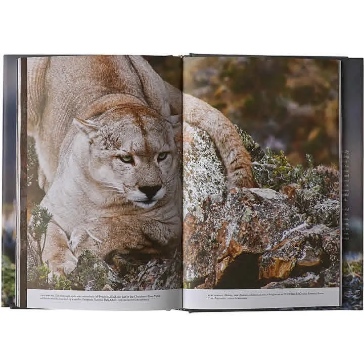 Patagonia Path of the Puma Hardcover Book